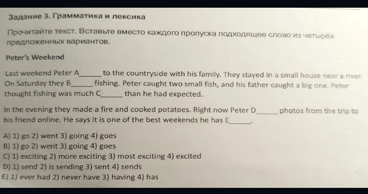 Задание 3. Грамматика и лексика. Прочитайте текст. Вставьте вместо каждого пропуска подходящее слово из четырёх предложенных вариантов.