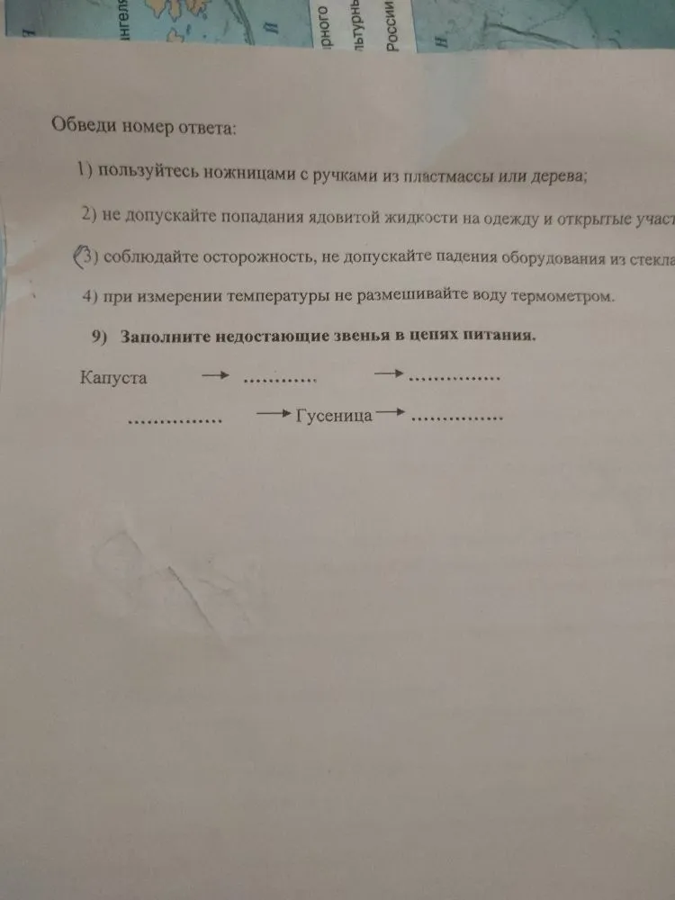 Заполните недостающие звенья в цепях питания.