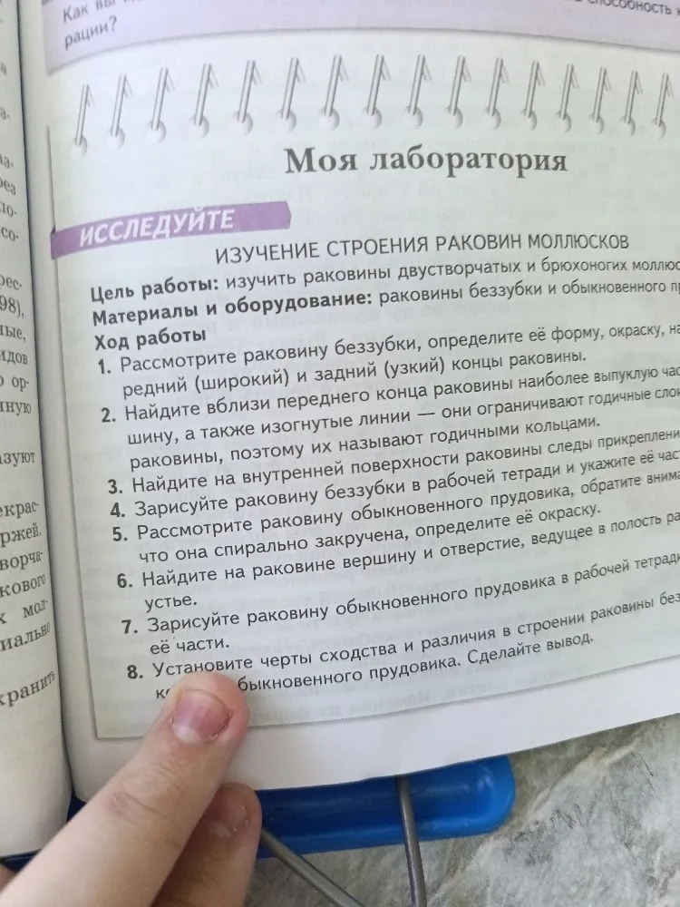 ИЗУЧЕНИЕ СТРОЕНИЯ РАКОВИН МОЛЛЮСКОВ