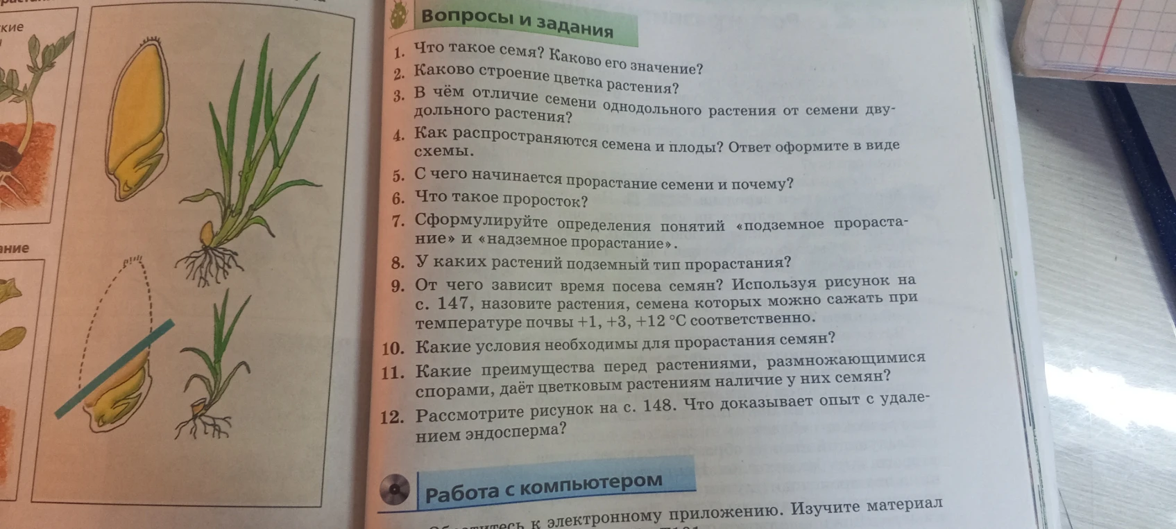 1. Что такое семя? Каково его значение?