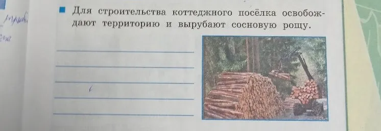 Для строительства коттеджного посёлка освобождают территорию и вырубают сосновую рощу.