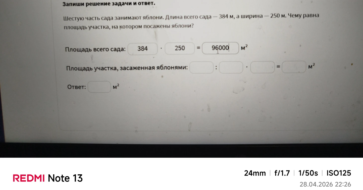 Шестую часть сада занимают яблони. Длина всего сада — 384 м, а ширина — 250 м. Чему равна площадь участка, на котором посажены яблони?