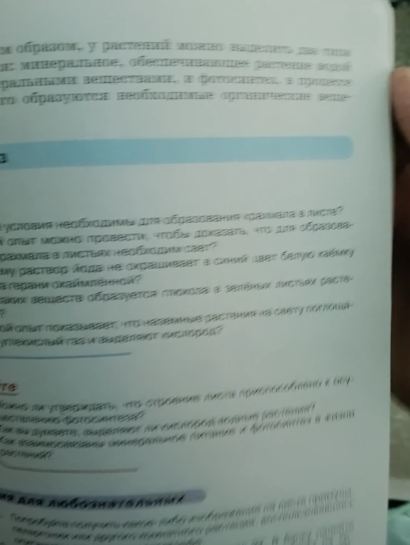 Какие условия необходимы для образования крахмала в листе?