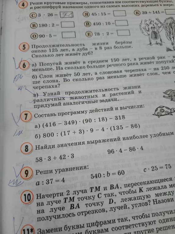 Продолжительность жизни берёзы около 125 лет, а дуба — в 8 раз больше. Сколько лет живёт дуб?
