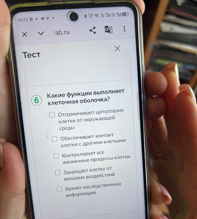 Какие функции выполняет клеточная оболочка?