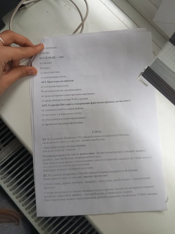 А13. E-MAIL — это: