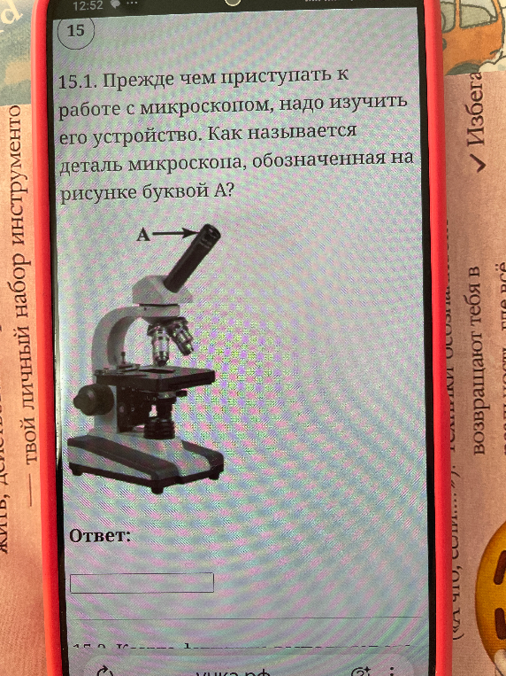 15.1. Прежде чем приступать к работе с микроскопом, надо изучить его устройство. Как называется деталь микроскопа, обозначенная на рисунке буквой А?