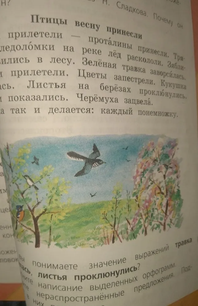 Как вы понимаете значение выражений травка заворсилась, листья проклюнулись?