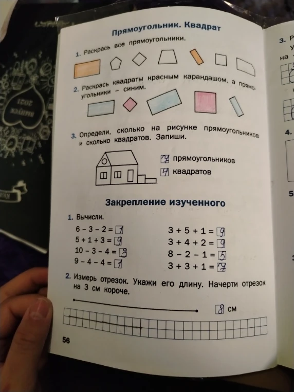 Определи, сколько на рисунке прямоугольников и сколько квадратов. Запиши.