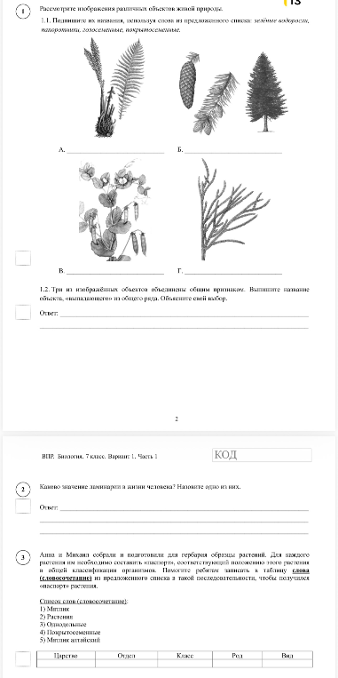 1.1. Подпишите их названия, используя слова из предложенного списка: зелёные водоросли, папоротники, голосеменные, покрытосеменные.