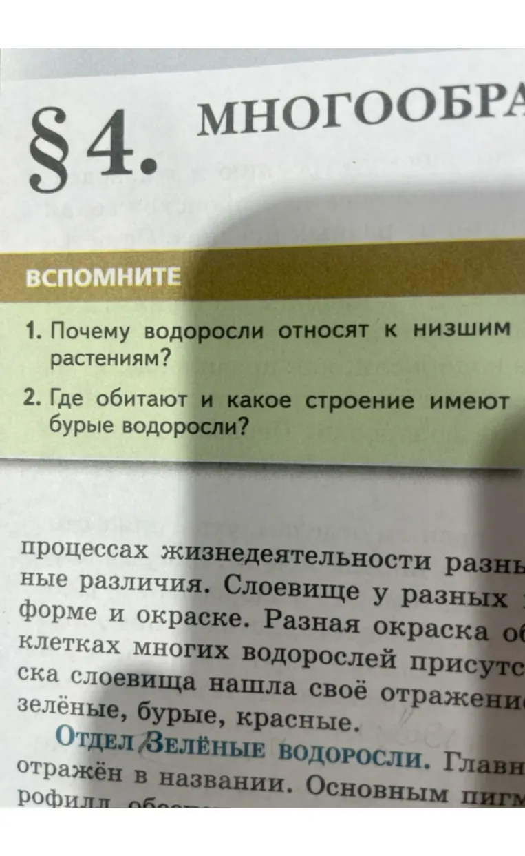 1. Почему водоросли относят к низшим растениям? 2. Где обитают и какое строение имеют бурые водоросли?