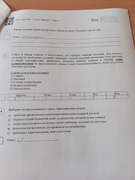 Каково значение бурых водорослей в жизни человека? Назовите одно из них.