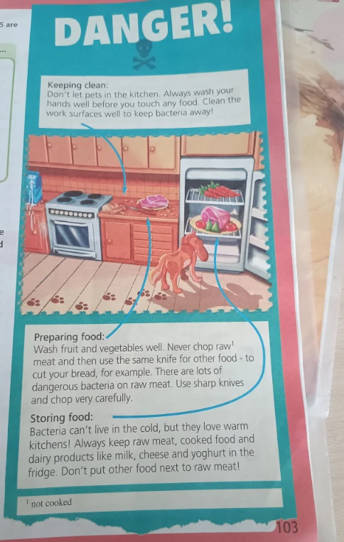 Keeping clean: Don't let pets in the kitchen. Always wash your hands well before you touch any food.