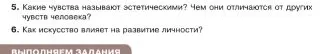 Какие чувства называют эстетическими? Чем они отличаются от других чувств человека?