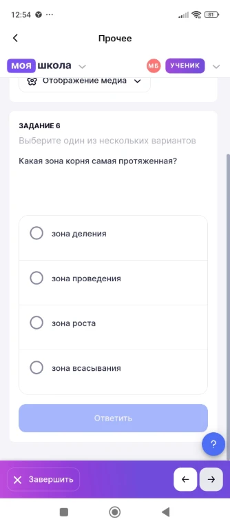Какая зона корня самая протяженная?