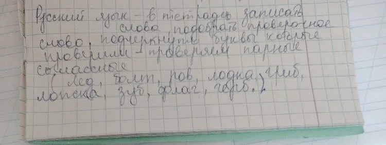 Русский язык - в тетрадь записать слова, подобрать проверочное слово, подчеркнуть буквы которые проверили - проверяем парные согласные (лед, болт, ров, лодка, гриб, ложка, зуб, флаг, герб).