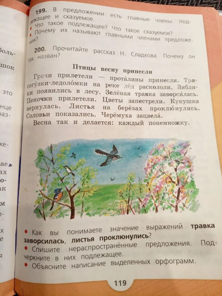 199. В предложении есть главные члены: подлежащее и сказуемое. Что такое подлежащее? Что такое сказуемое? Почему их называют главными членами предложения?