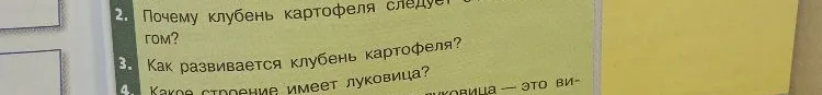 Почему клубень картофеля следует считать побегом?