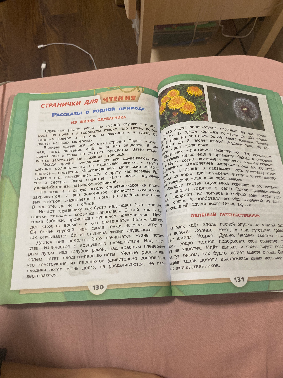 Какие самые важные предложения в тексте из жизни одуванчика 10 -12 предложений