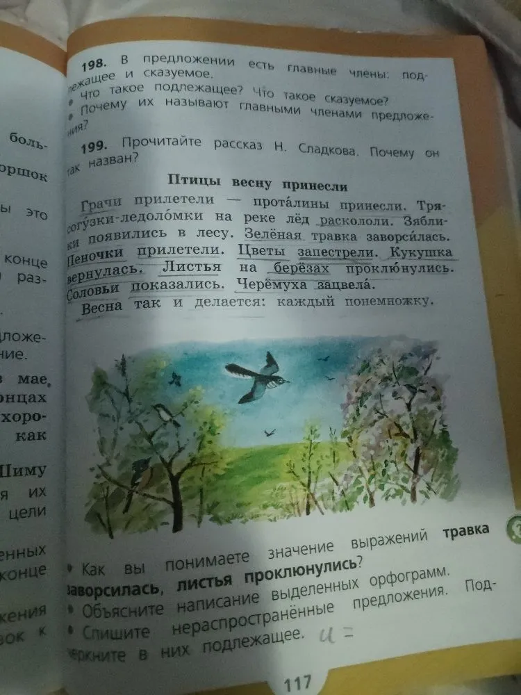 198. В предложении есть главные члены: подлежащее и сказуемое. Что такое подлежащее? Что такое сказуемое? Почему их называют главными членами предложения?