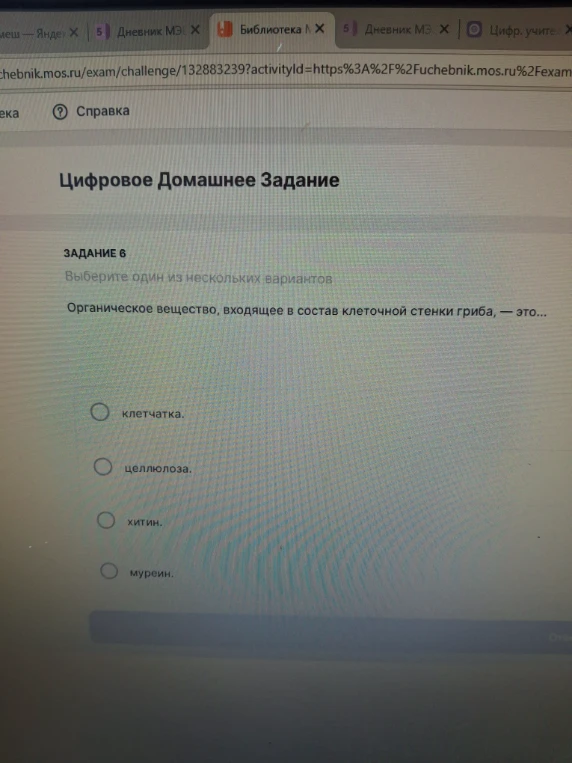 Органическое вещество, входящее в состав клеточной стенки гриба, — это...