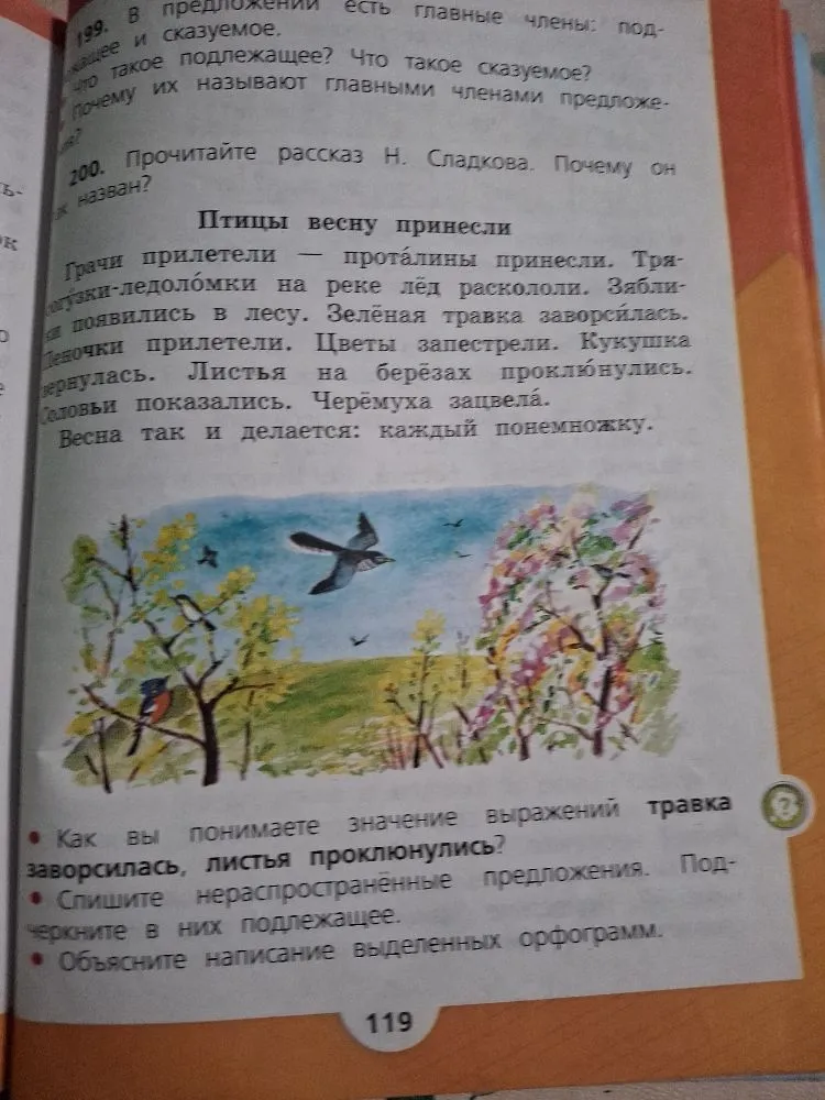 199. В предложении есть главные члены: подлежащее и сказуемое. Что такое подлежащее? Что такое сказуемое? Почему их называют главными членами предложения?