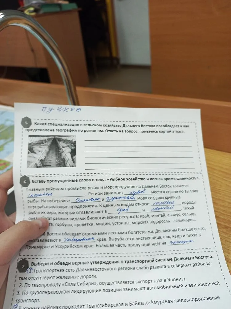 Какая специализация в сельском хозяйстве Дальнего Востока преобладает и как представлена география по регионам.