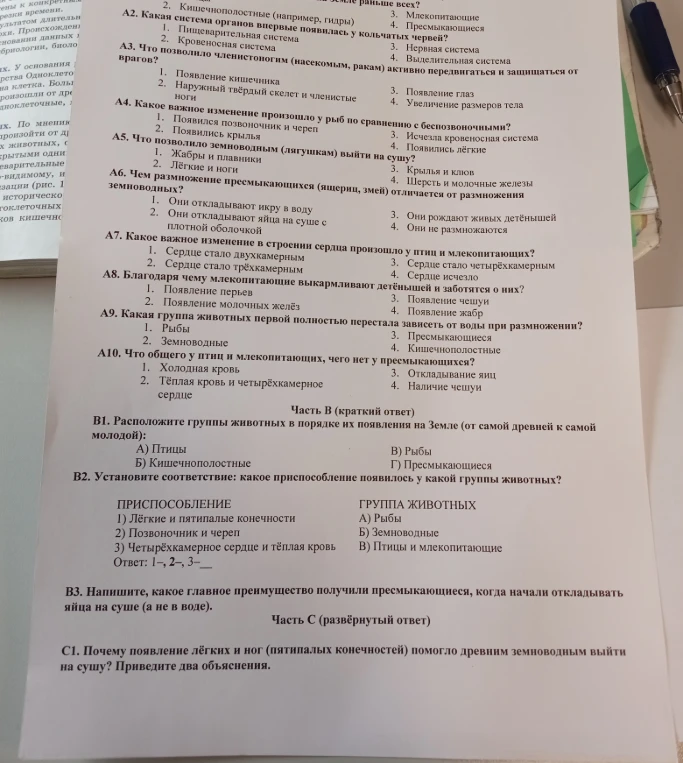 А2. Какая система органов впервые появилась у кольчатых червей?