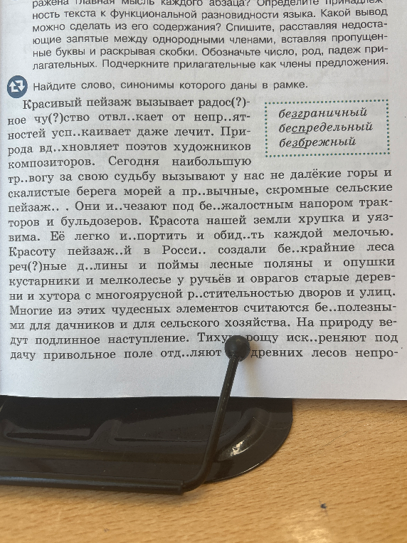 Красивый пейзаж вызывает радос(?)ное чу(?)ство отвл..кает от непр..ятностей усп..каивает даже лечит.