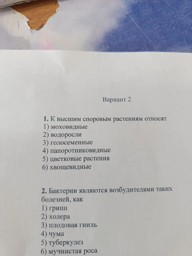 1. К высшим споровым растениям относят