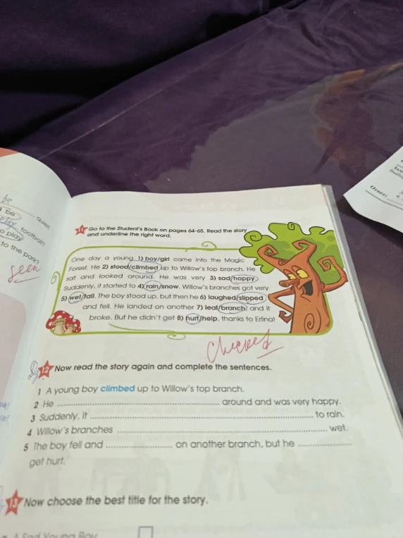 Now read the story again and complete the sentences.