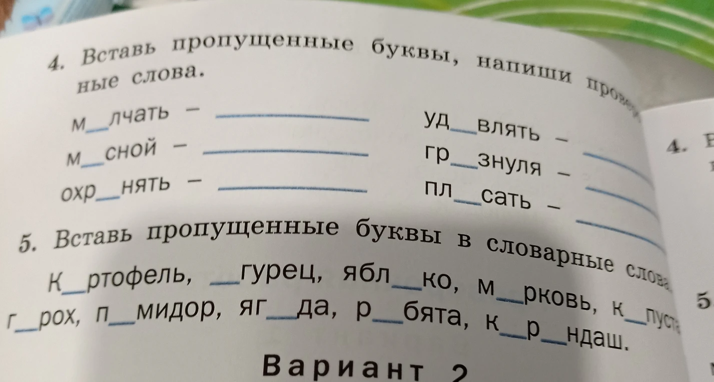 4. Вставь пропущенные буквы, напиши проверочные слова.