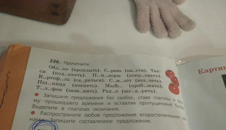 236. Прочитайте. Обл..ко (проплыть). С..рень (цв..сти). Так-си (под..ехать). П..м..доры (покр..снеть). К..ртоф..ль (св..риться). С..м..лёт (взл..теть). Пш..ница (поспеть). Мыш.. (проб..жать). Т..л..фон (зазв..нить). Рад..о (заг..в..рить).