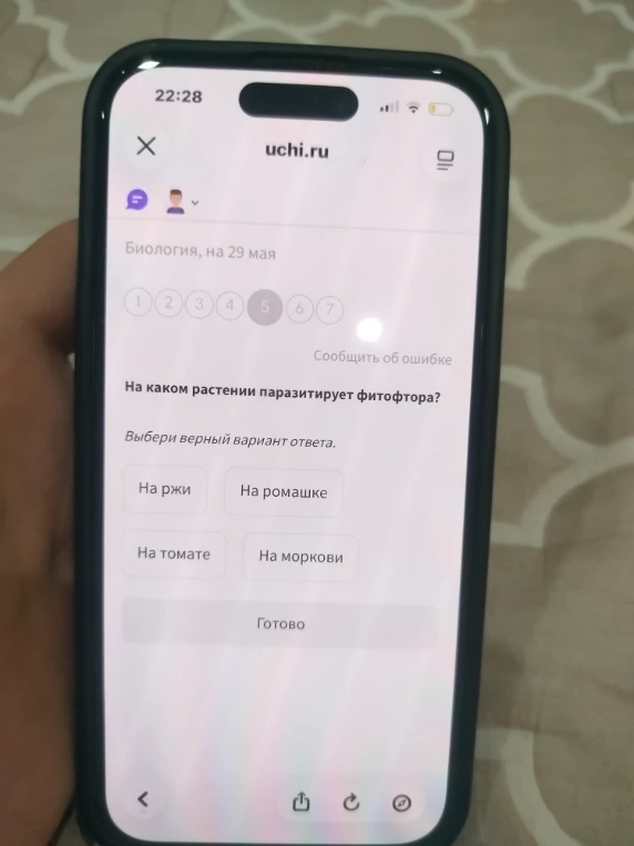 На каком растении паразитирует фитофтора?