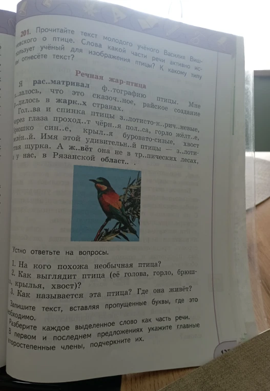 Прочитайте текст молодого учёного Василия Вишневского о птице. Слова какой части речи активно использует учёный для изображения птицы? К какому типу вы отнесёте текст?