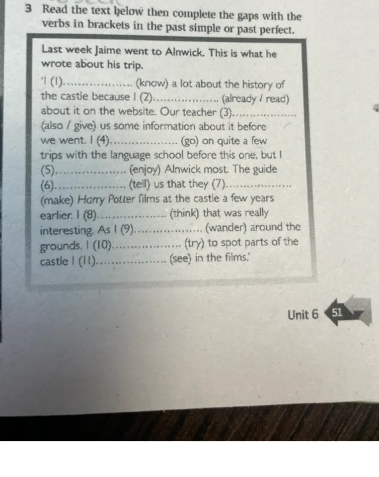 Read the text below then complete the gaps with the verbs in brackets in the past simple or past perfect.