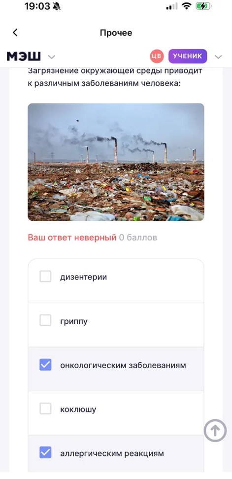 Загрязнение окружающей среды приводит к различным заболеваниям человека: