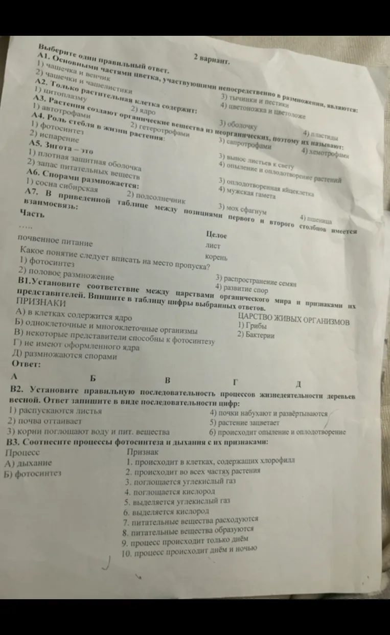 Выберите один правильный ответ.