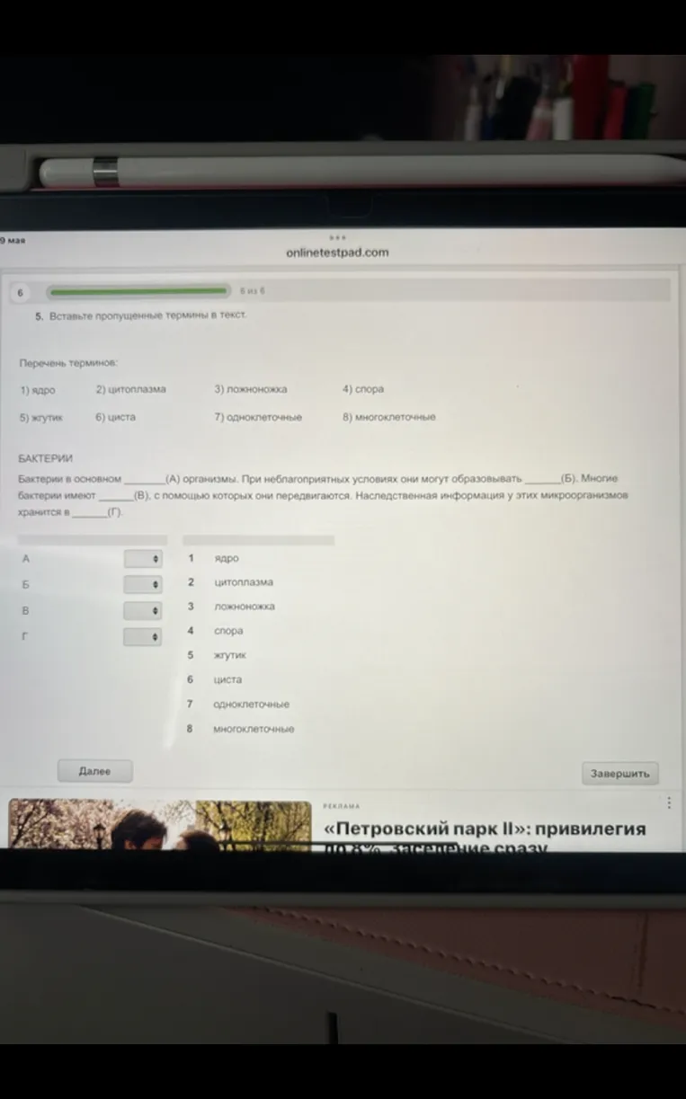 5. Вставьте пропущенные термины в текст.