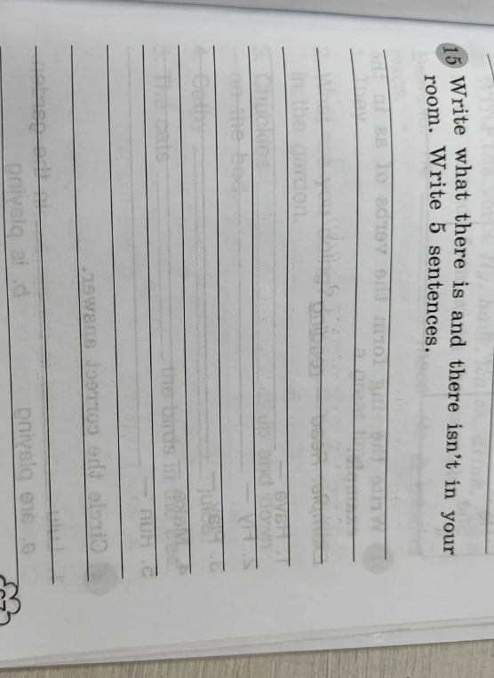 Write what there is and there isn't in your room. Write 5 sentences.