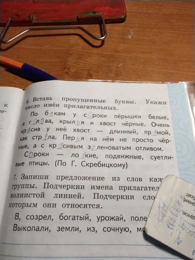 Вставь пропущенные буквы. Укажи число имён прилагательных.