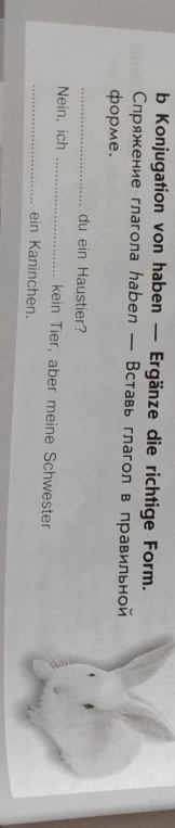 b Konjugation von haben — Ergänze die richtige Form.