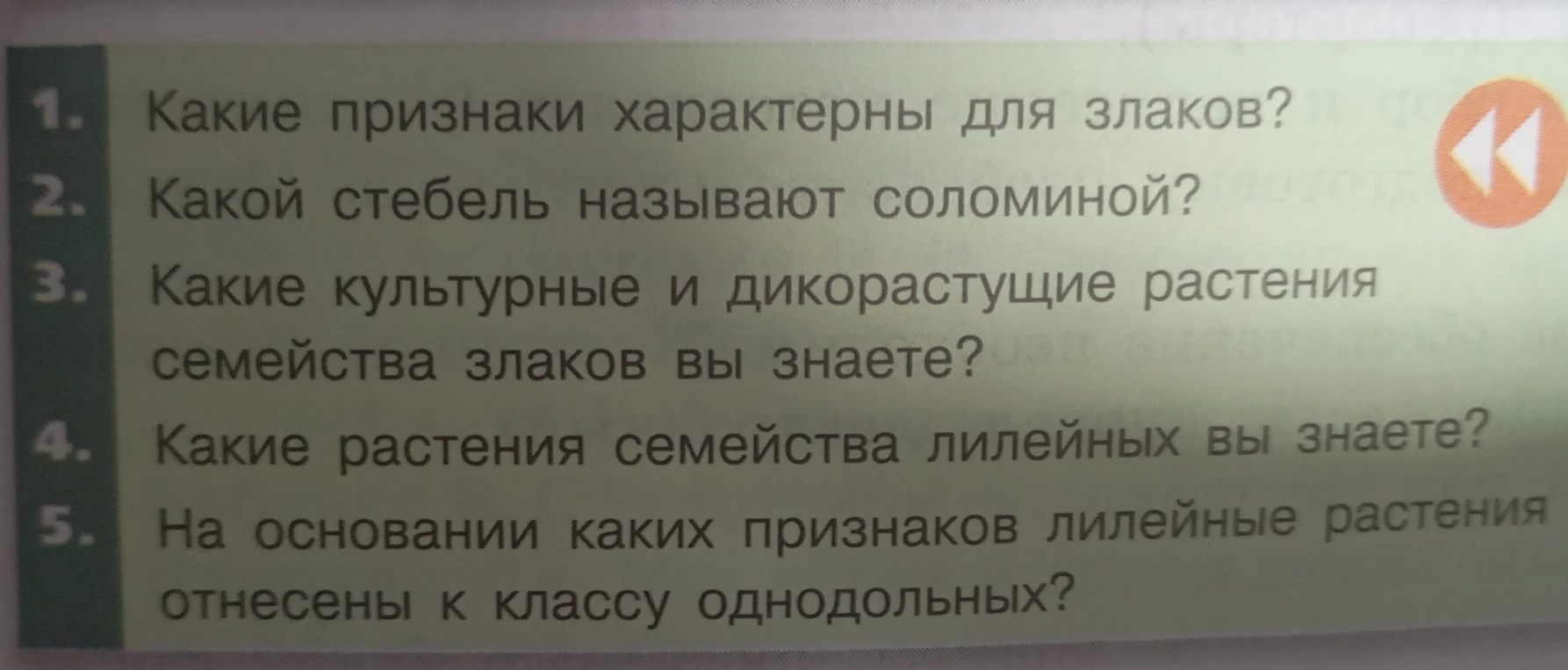 Какие признаки характерны для злаков?