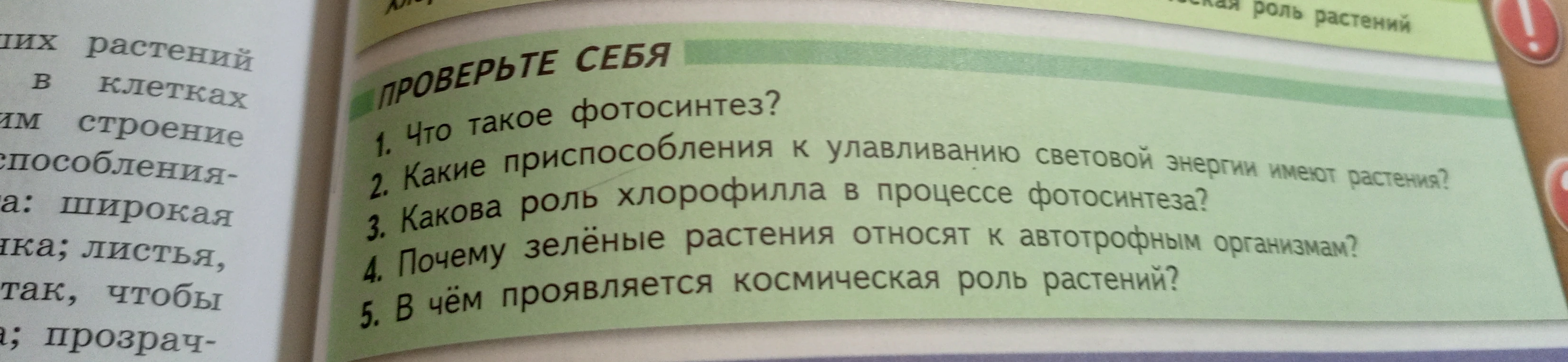 Что такое фотосинтез?