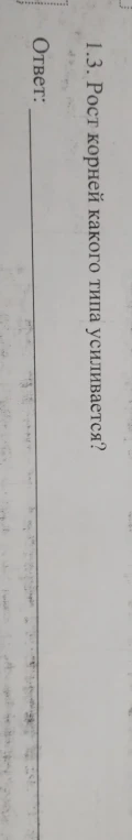 1.3. Рост корней какого типа усиливается?
