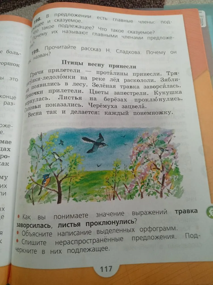В предложении есть главные члены: подлежащее и сказуемое. Что такое подлежащее? Что такое сказуемое? Почему их называют главными членами предложения?