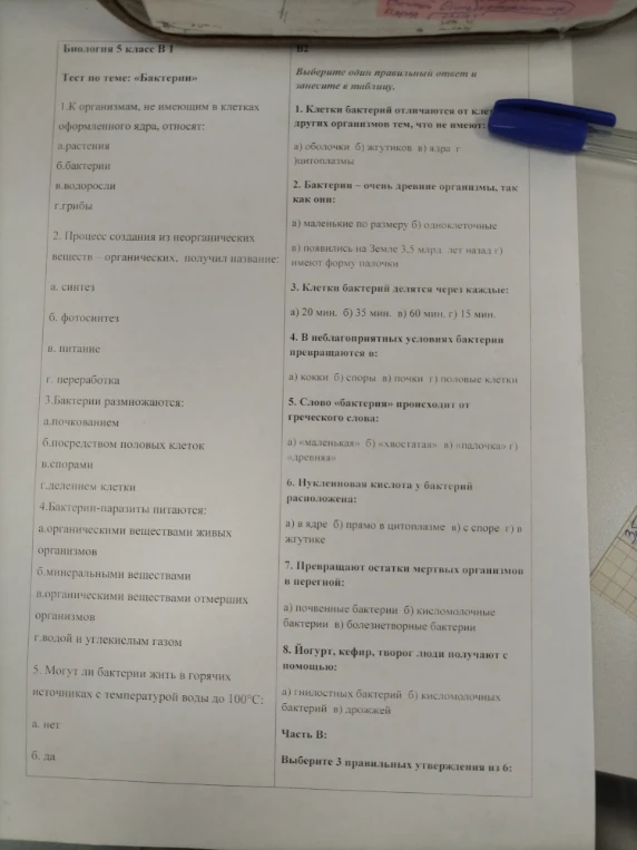 К организмам, не имеющим в клетках оформленного ядра, относят: