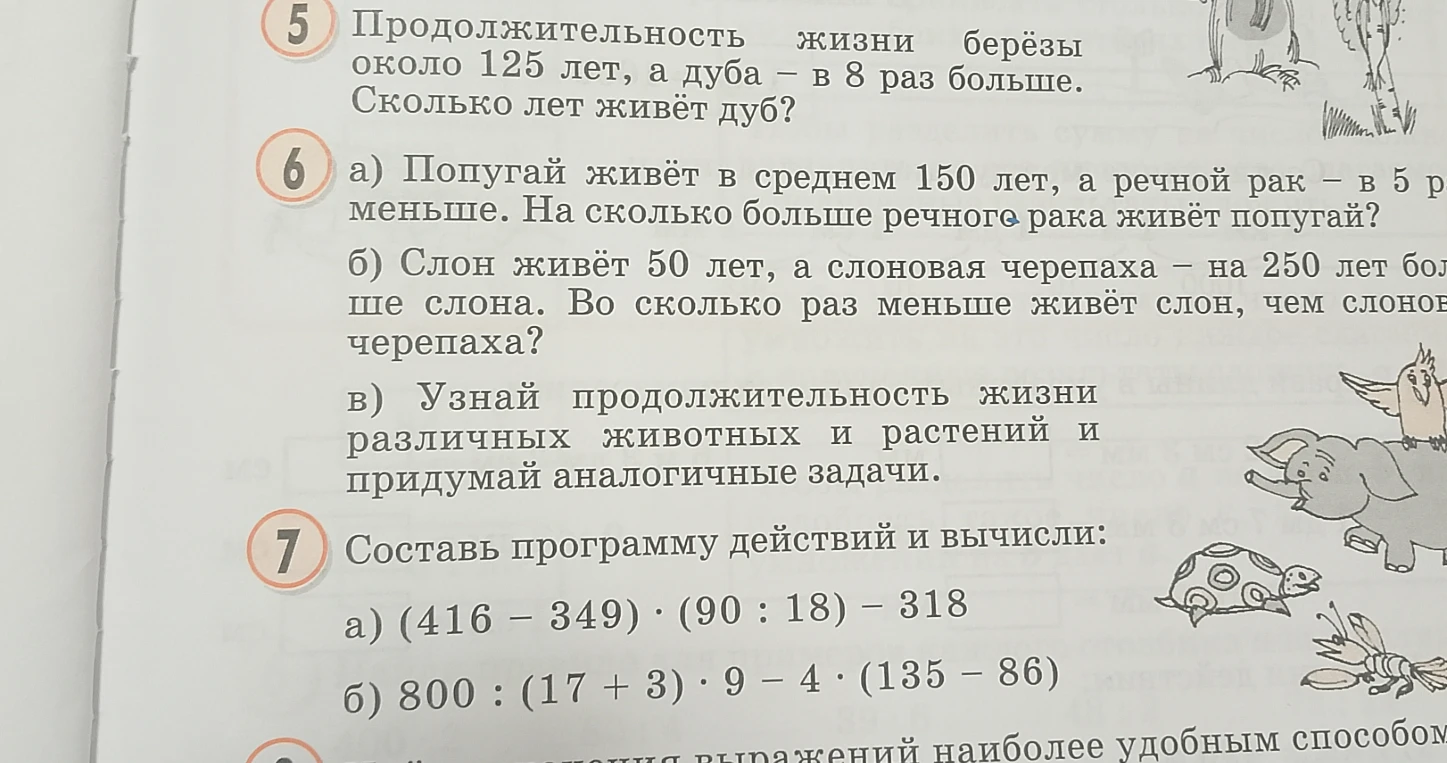 Продолжительность жизни берёзы около 125 лет, а дуба - в 8 раз больше. Сколько лет живёт дуб?