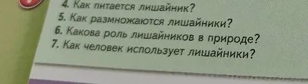 4. Как питается лишайник?