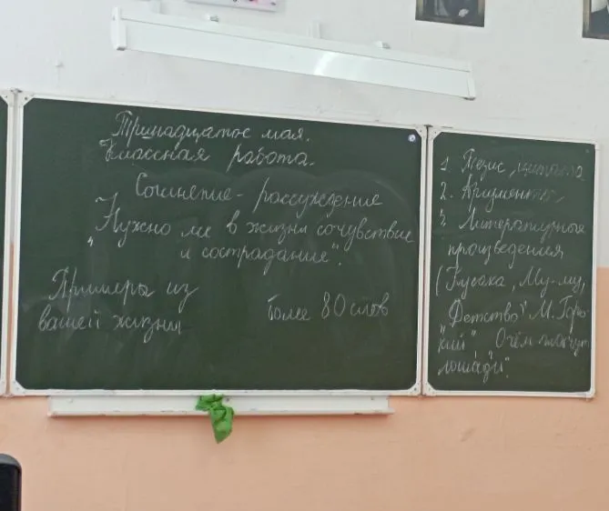 Сочинение-рассуждение "Нужно ли в жизни сочувствие и сострадание"